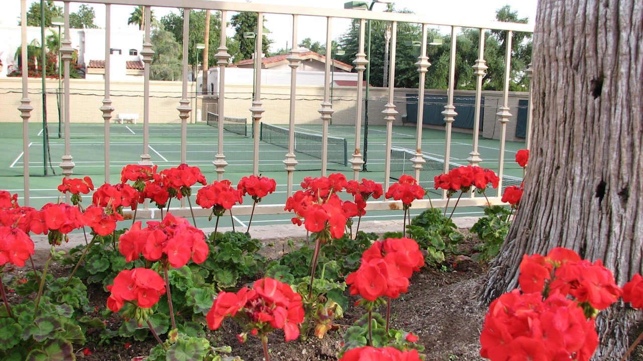 Tennisplätze Hotel Scottsdale Camelback Resort