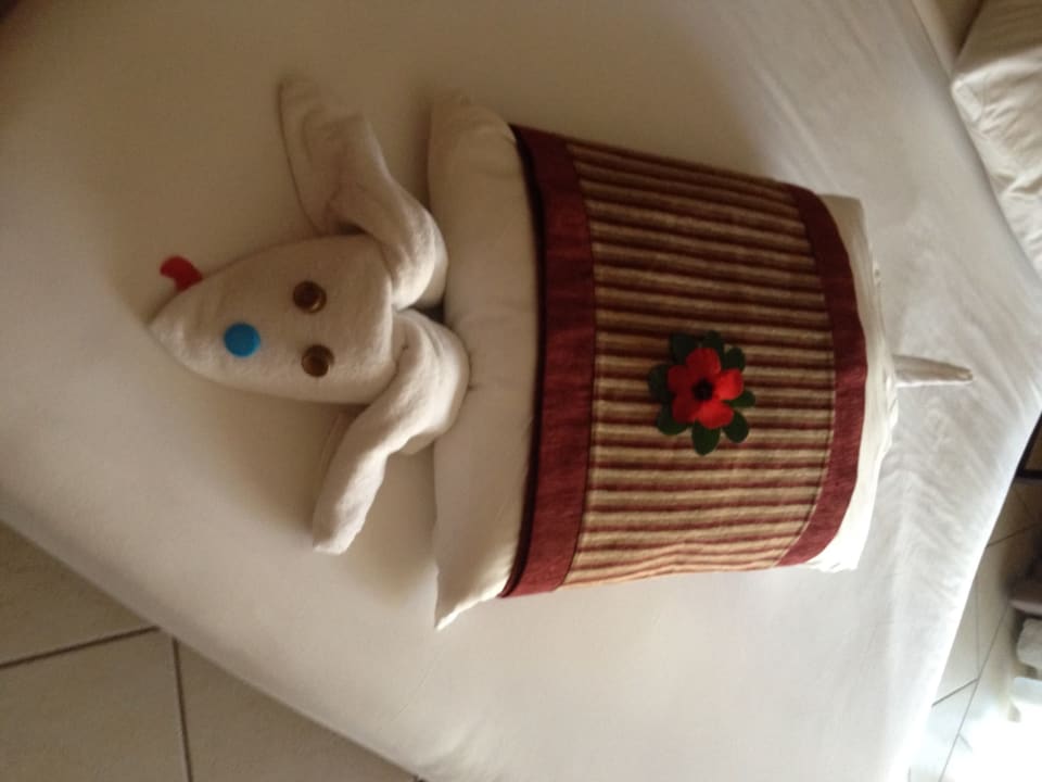 Zimmer Jaz Mirabel Park & Club