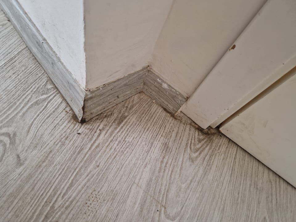 Zimmer Tepe Hotel & Beach Club