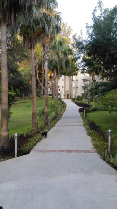 Anlage Club Sidelya Hotel