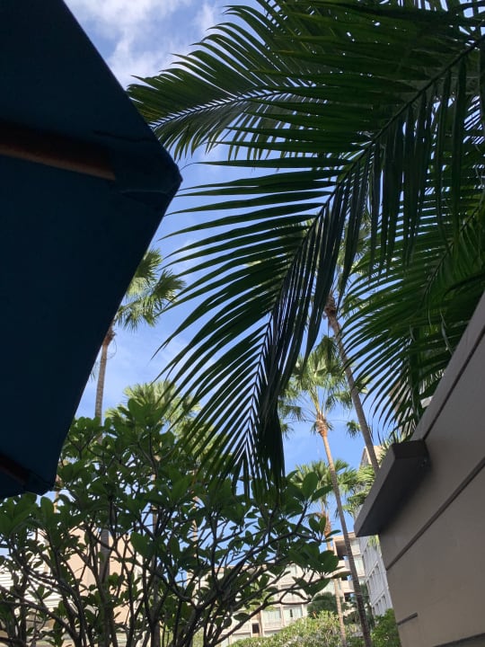 Ausblick Hotel Grand Mercure Phuket Patong