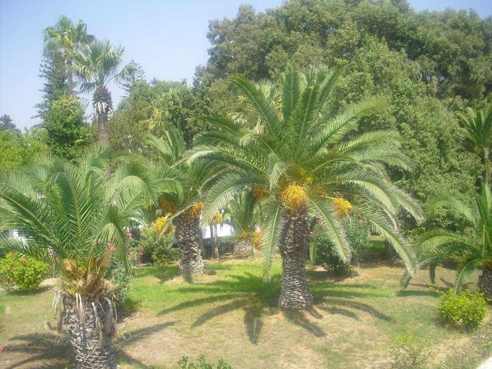 Gartenanlage Movie Gate Miramar