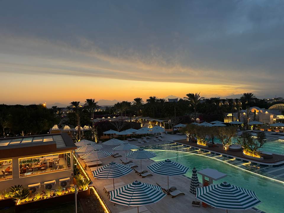 Ausblick Desert Rose