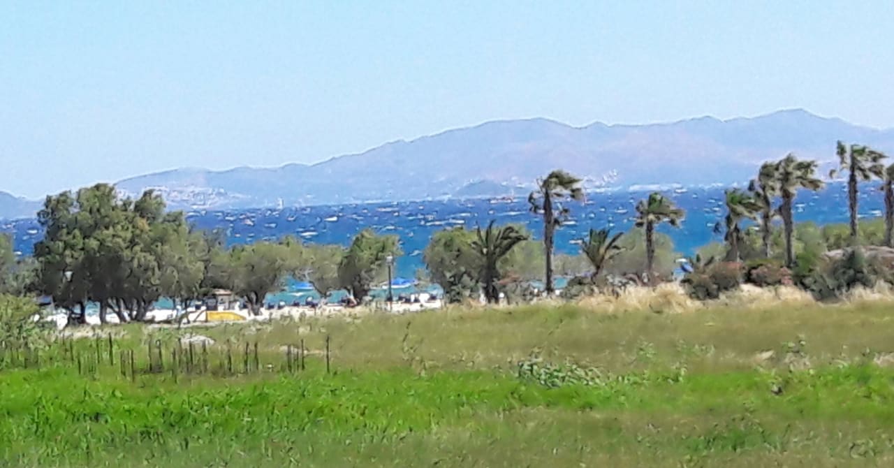 Ausblick Hotel Tropical Sol
