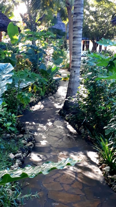 Gartenanlage Spice Island Hotel & Resort