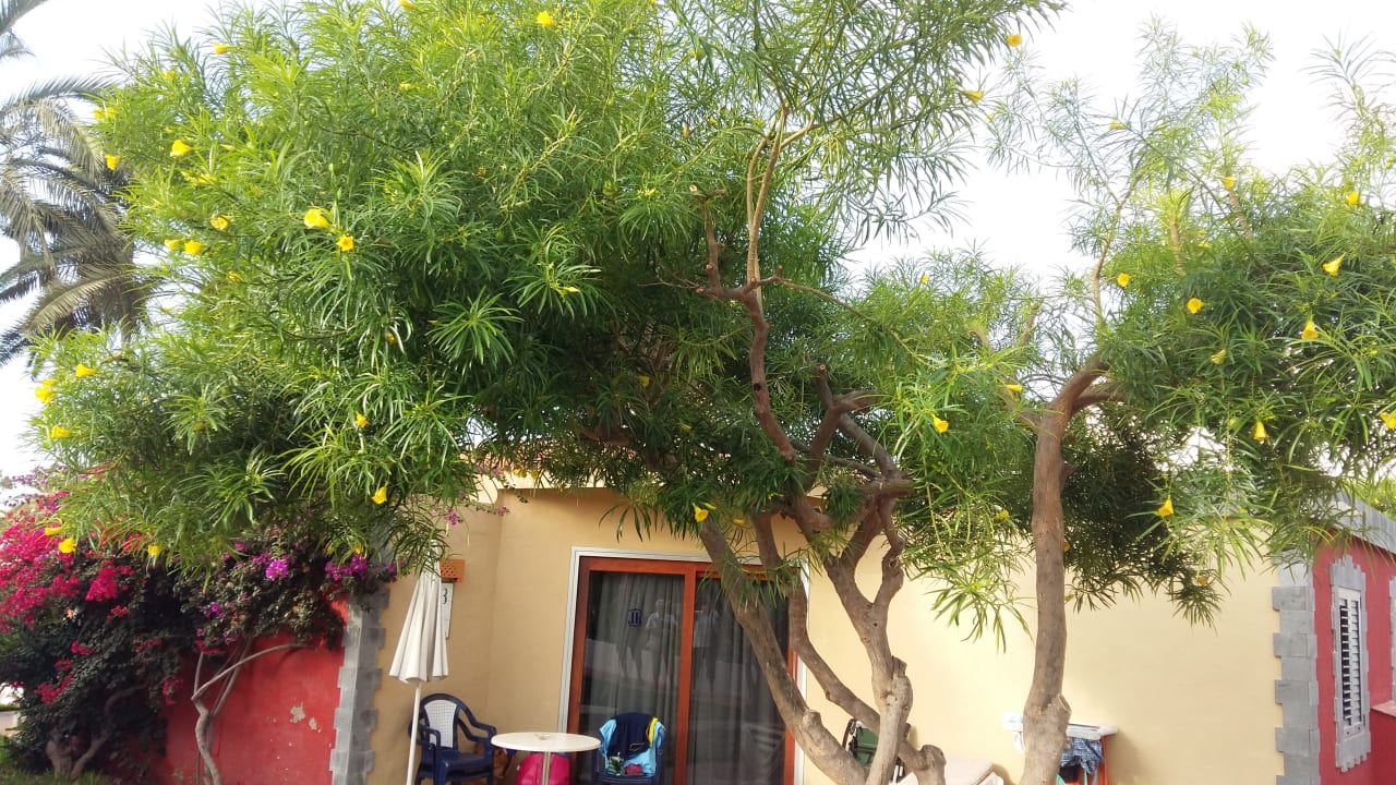 Außenansicht HL Miraflor Suites Hotel