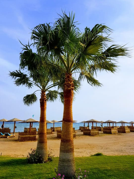 War manchmal auch recht windig  Shams Prestige Abu Soma-Adults Only