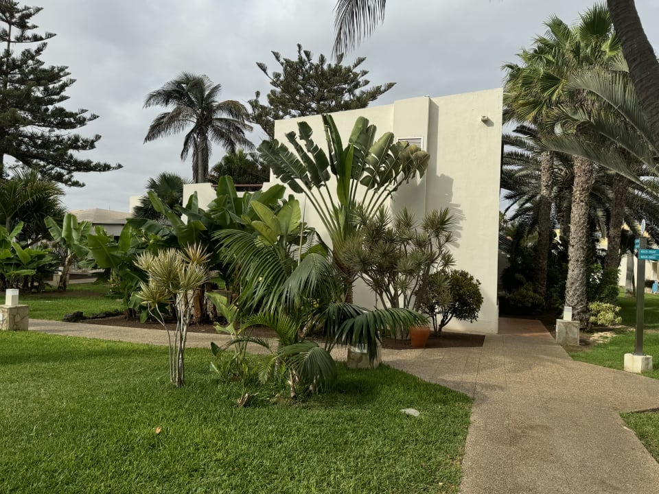 Gartenanlage Alua Suites Fuerteventura