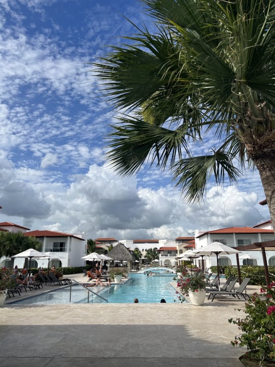 Pool Dreams Dominicus La Romana