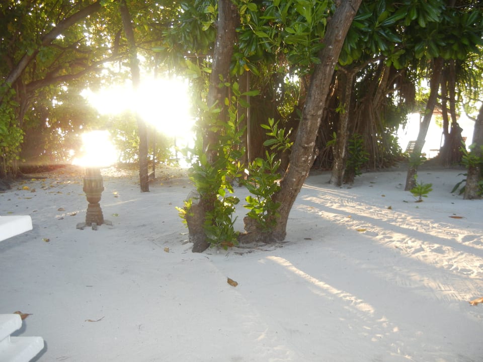 Ausblick aus unserem Zimmer NH Collection Maldives Reethi Resort