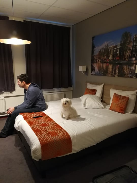 Zimmer Amsterdam Teleport Hotel