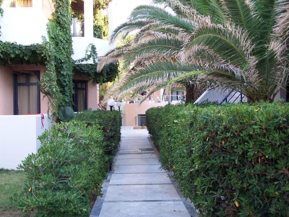 Weg zum Pool Hotel Eva Bay