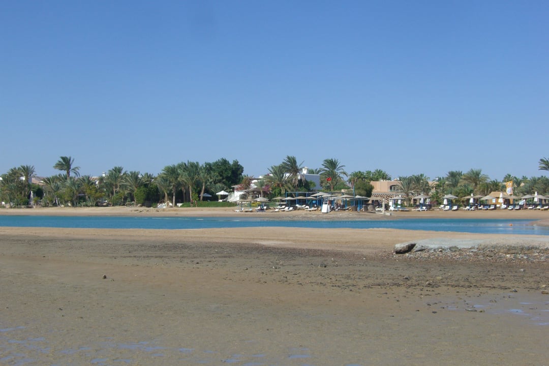 Spaziergang bei Ebbe Club Paradisio El Gouna, Red Sea