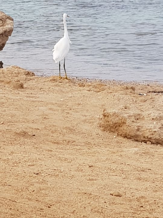 Strand Three Corners Sea Beach Resort