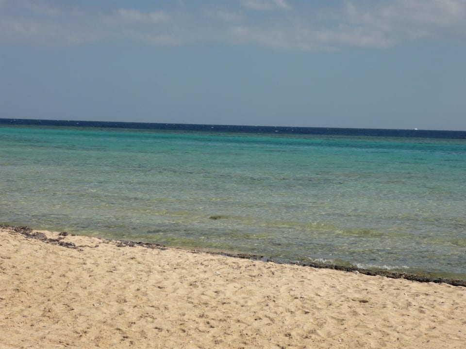 Gorgonia Beach Hotel Gorgonia Beach Resort