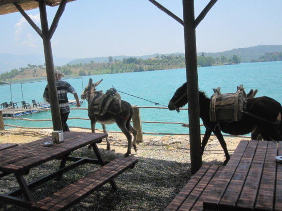 Eselreiten Dosi Hotel