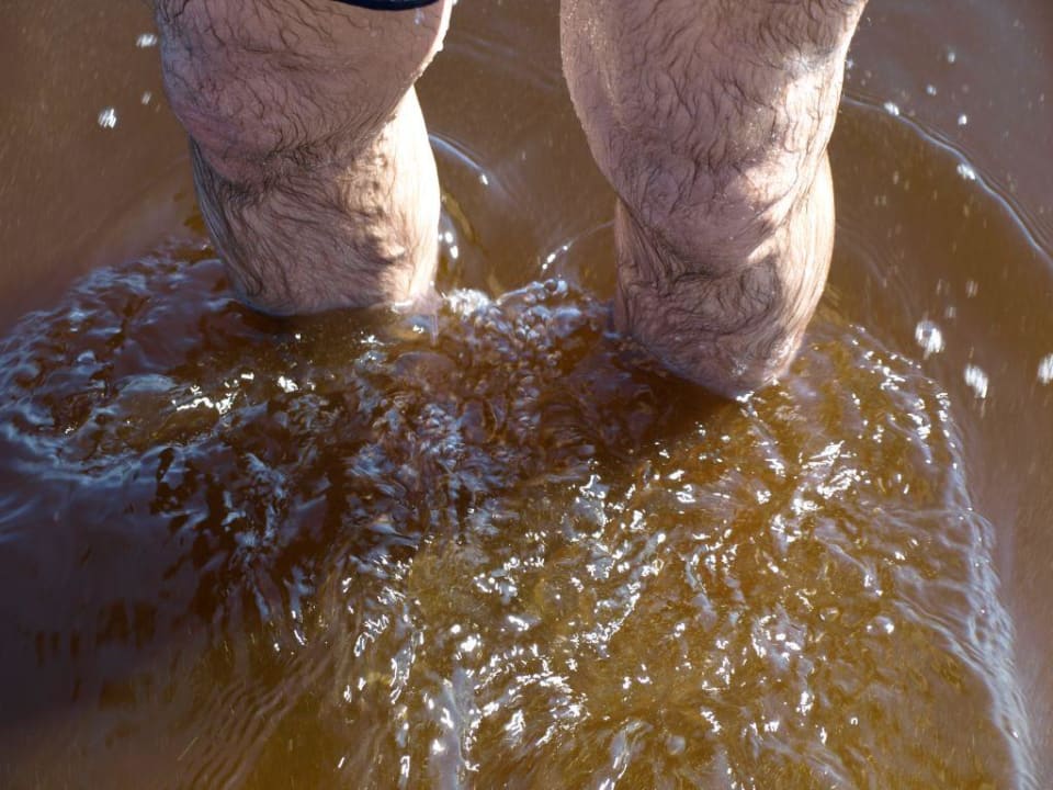 Meer! Miramar Al Aqah Beach Resort