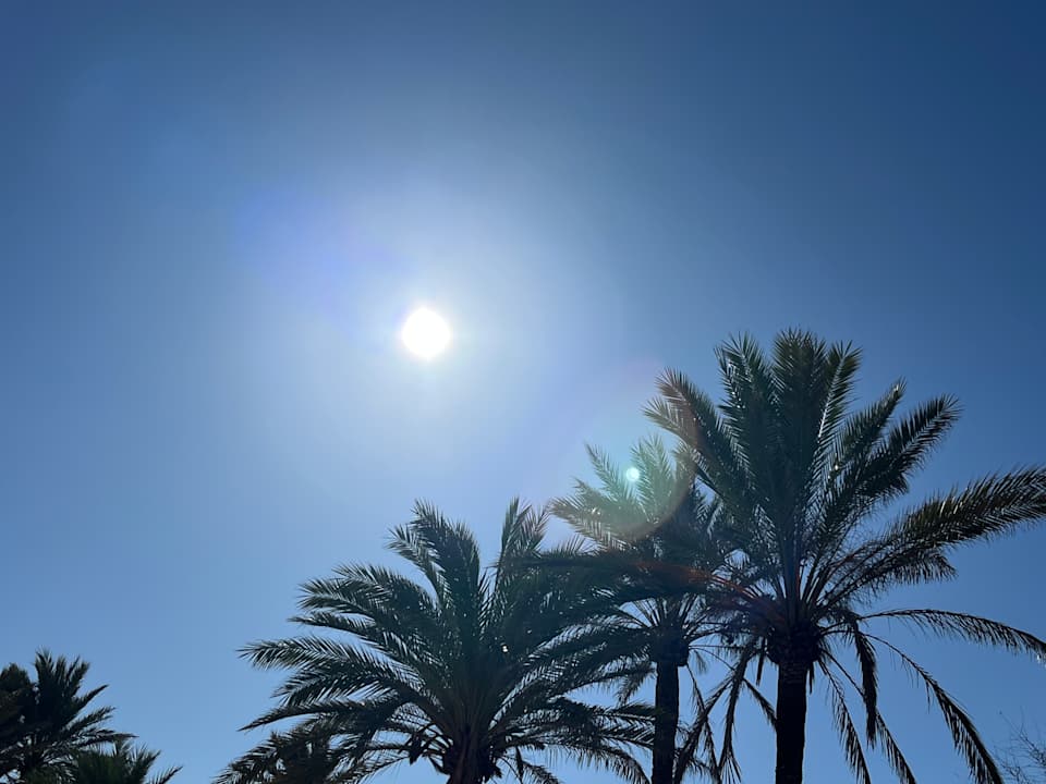 Ausblick allsun Hotel Pil-lari Playa