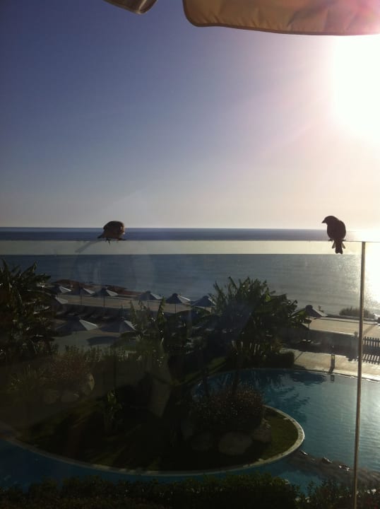 Gastro Atrium Prestige Thalasso Spa Resort & Villas