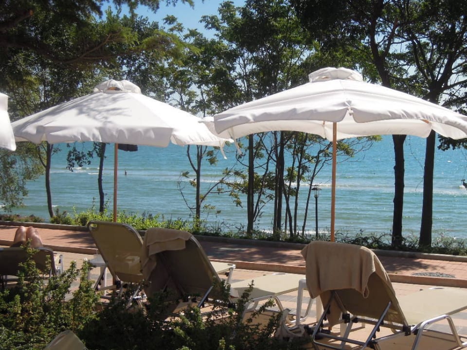Blick von der Liege am Pool aufs Meer Dreams Sunny Beach Resort & Spa