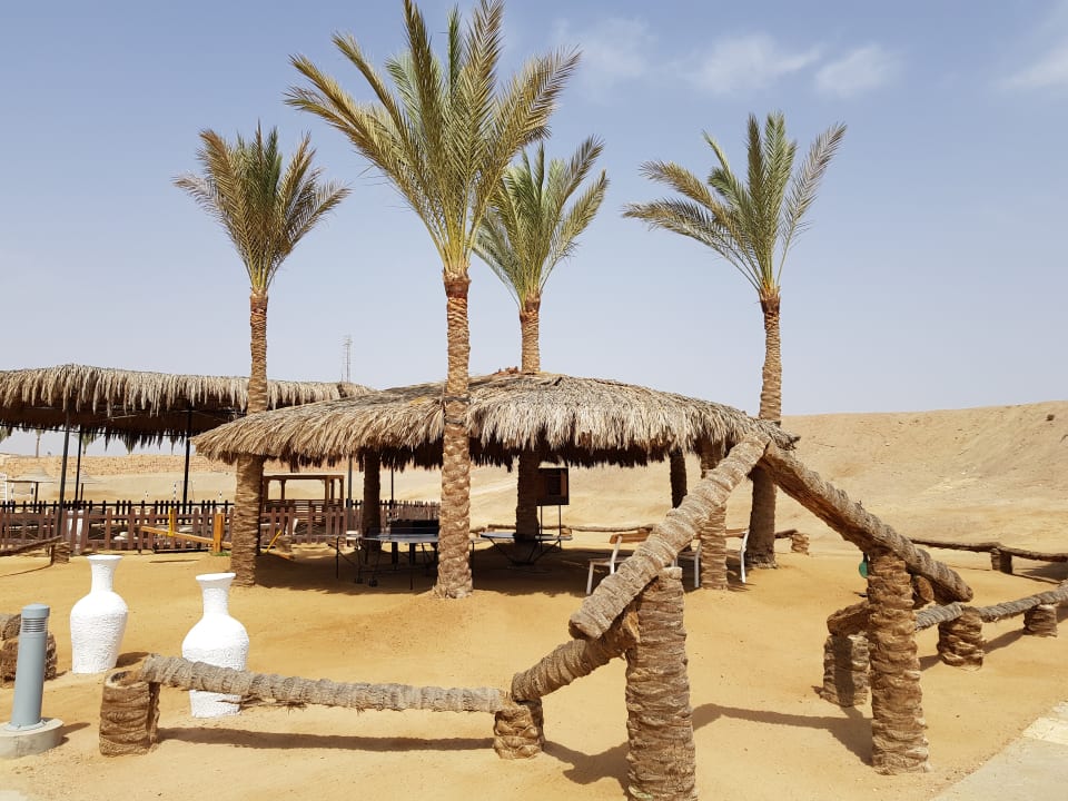 Sport & Freizeit Steigenberger Coraya Beach - Adults only