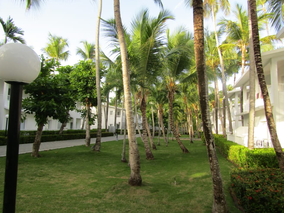 Gartenanlage Hotel Riu Bambu