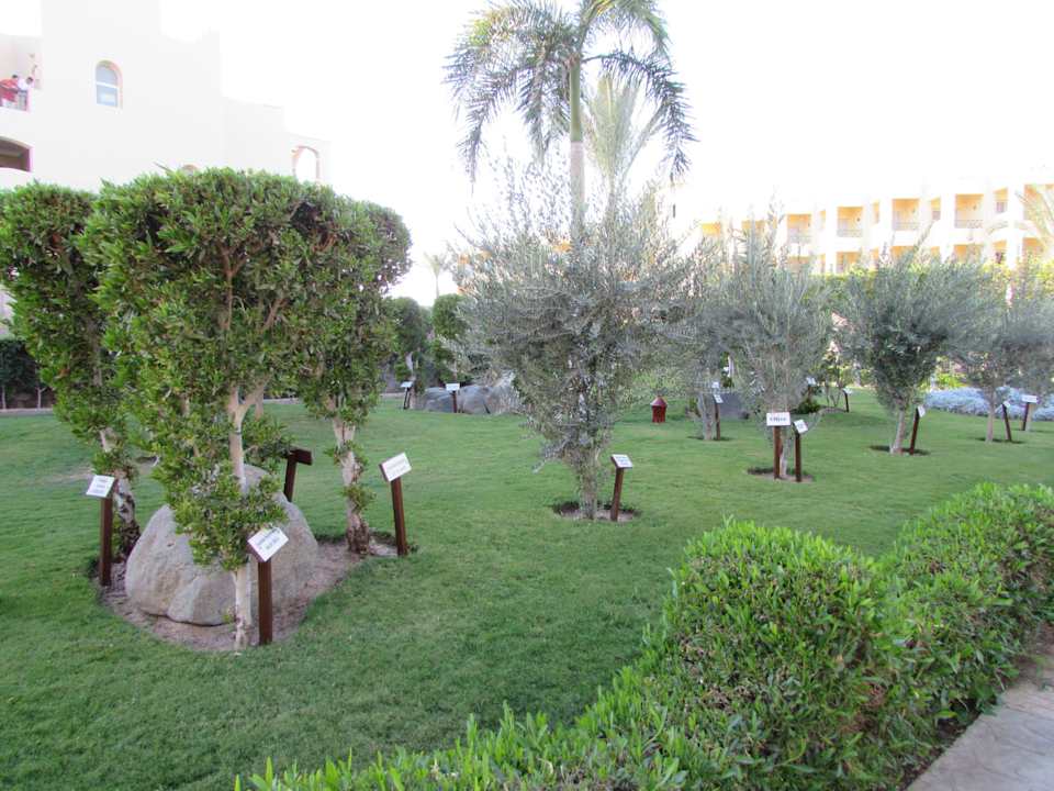 Viele Wege zum spazieren Jaz Makadi Gardens - TUI BLUE Makadi Gardens - Adults Friendly 16 Years Plus