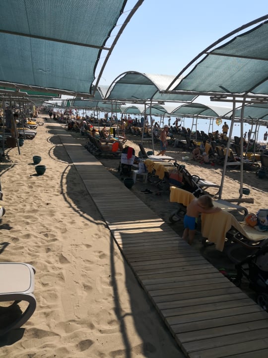 Strand Papillon Belvil