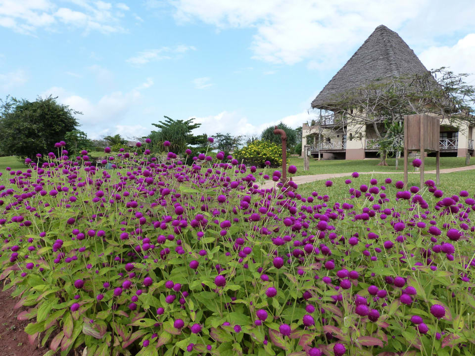 Blumenbeet Neptune Pwani Beach Resort & Spa