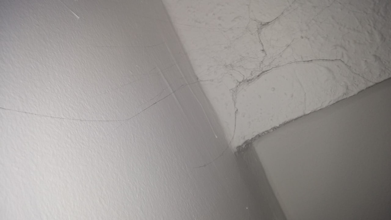 Spinnennetze Zimmer TUI BLUE Medulin