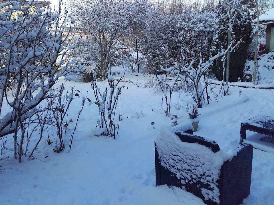 Gartenanlage Gîte du Lion 90 Chambres du Lion 90