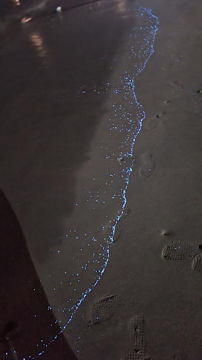 Strand Radisson Blu Resort Fujairah