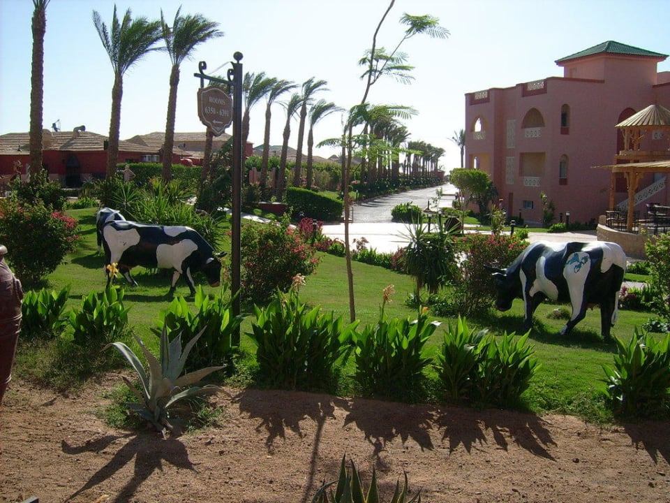 Weg zum Strand Pickalbatros Aqua Vista Resort - Hurghada