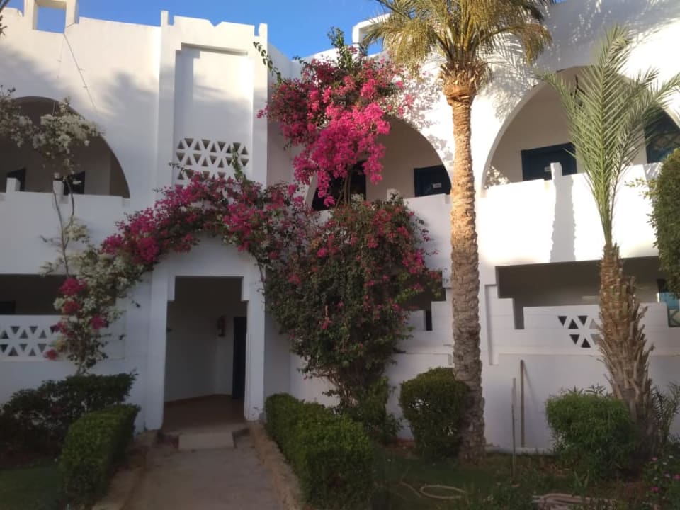 The Three Corners Equinox Beach Resort Three Corners Equinox Beach Resort