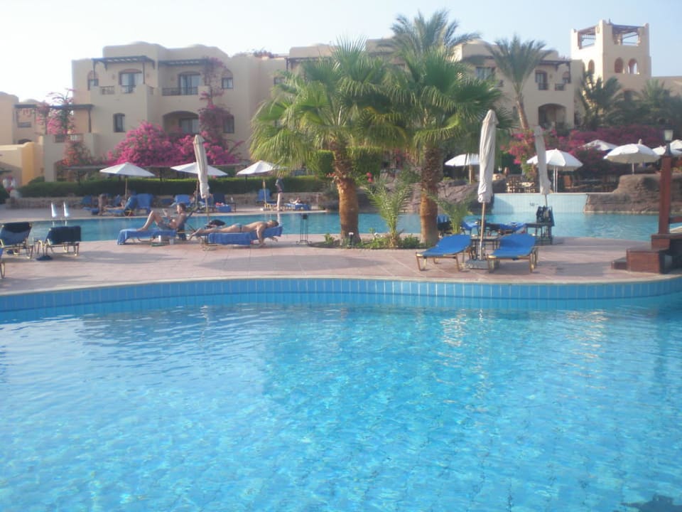Pool Steigenberger Coraya Beach - Adults only