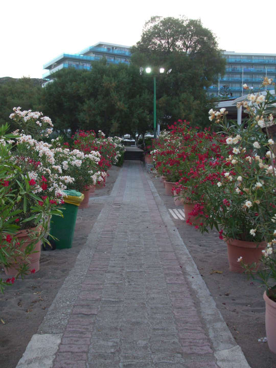 Bild 6 Hotel Calypso Beach