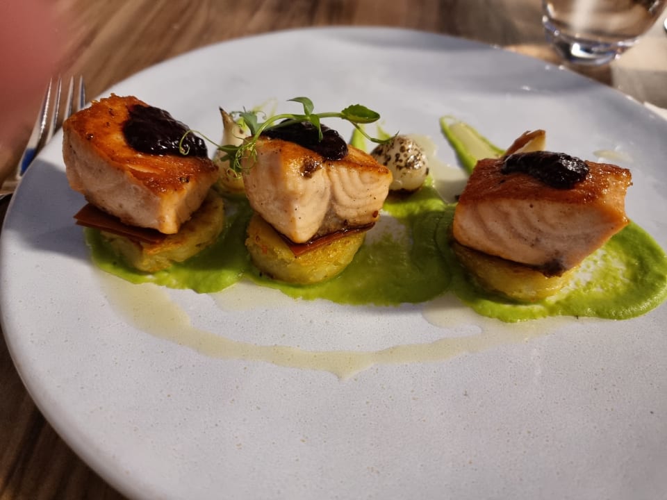 Gastro Acanthus Cennet Barut Collection