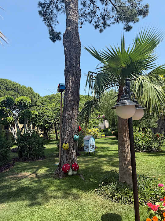 Sonstiges TUI Magic Life Belek