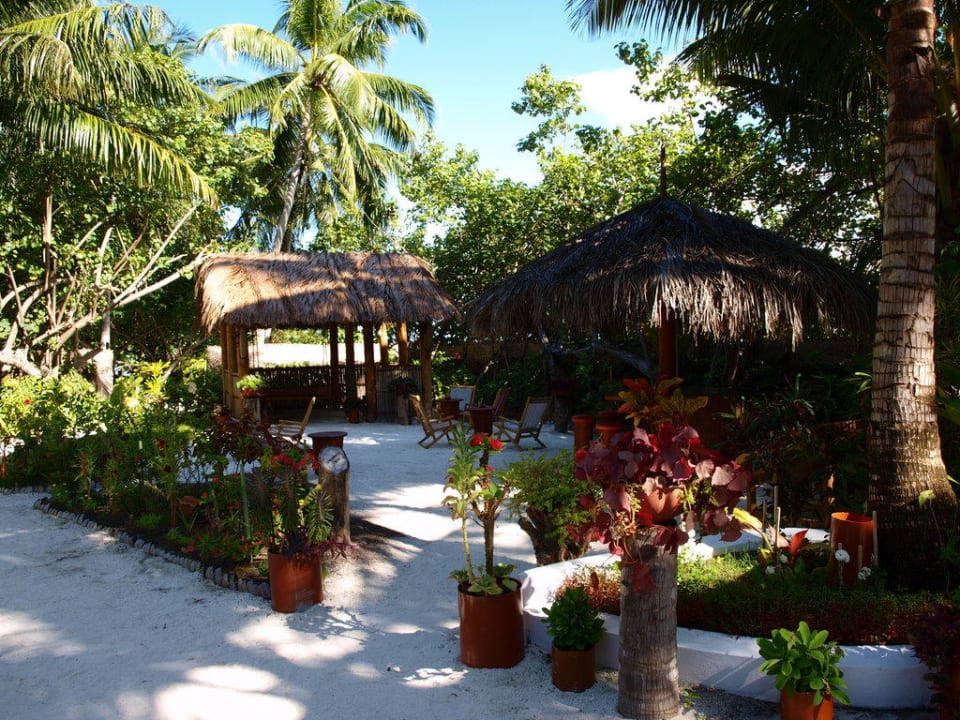Gartenanlage mit Bar und Chillecke Vilamendhoo Island Resort & Spa