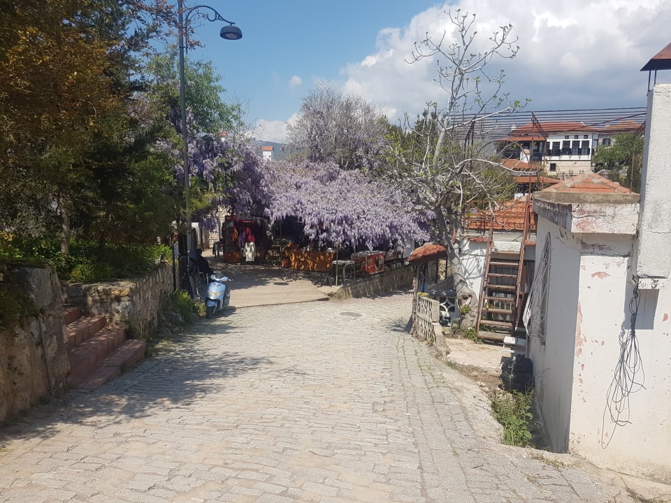 Ausblick Labranda Alantur Resort