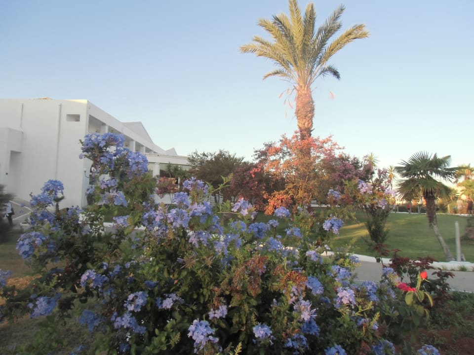 Gartenanlage Sandy Beach Resort