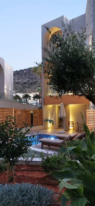 Pool Cactus Mare - Adults only