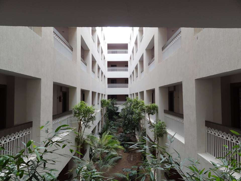 Wewnątrz hotelu Hotel Rosa Beach