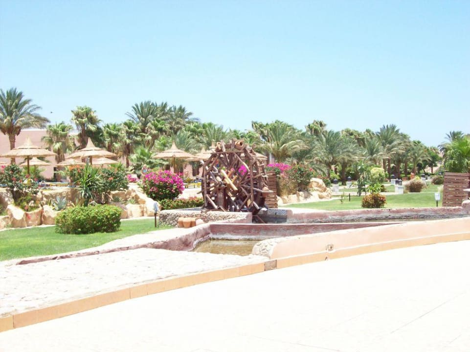 Gartenlandschaft Beach Albatros Resort
