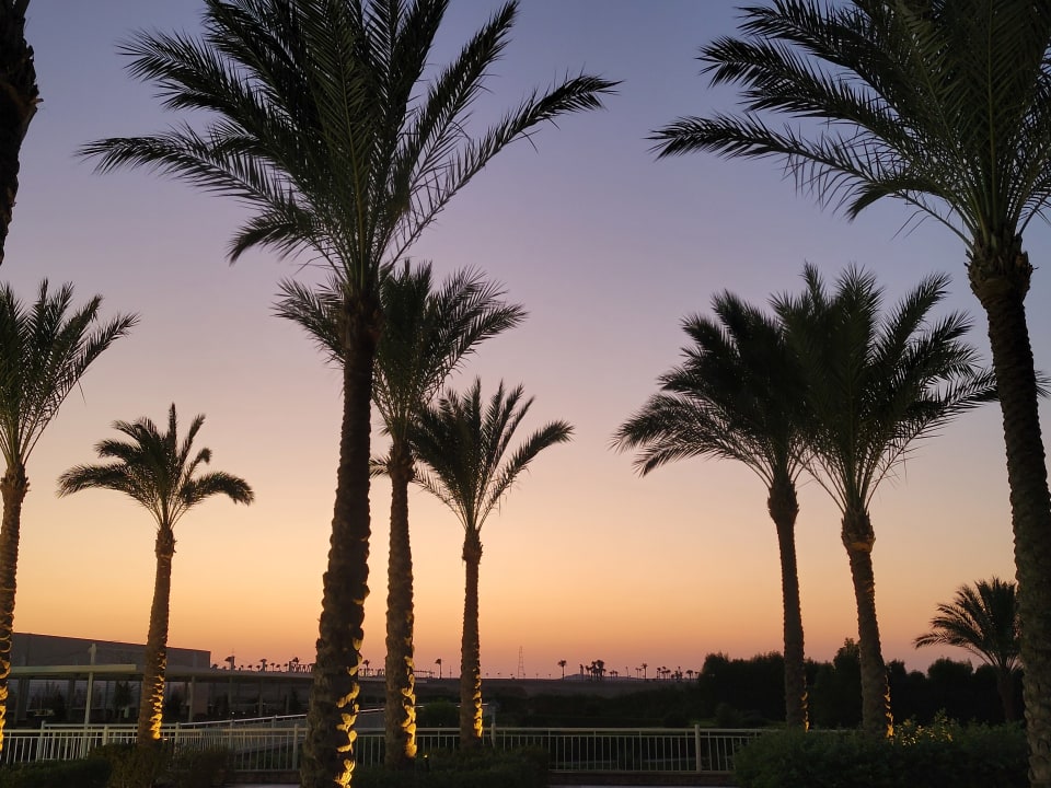 Sonstiges Jaz Aquaviva