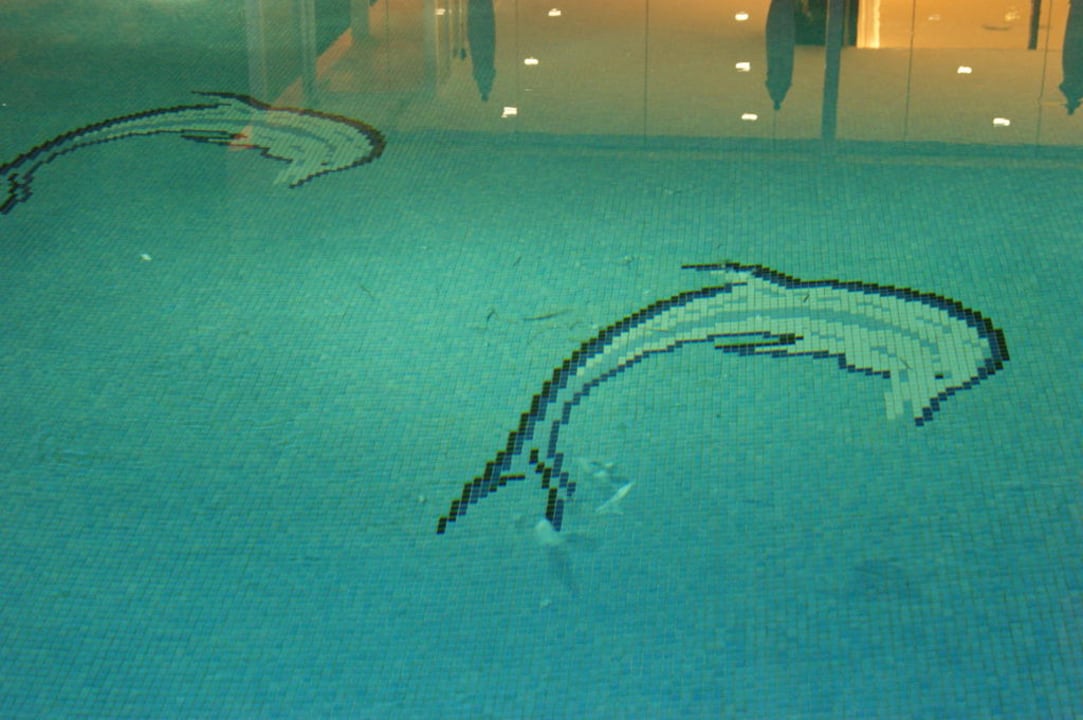 Dereck und unbekannte Objekte im Pool Hotel HM Gran Fiesta