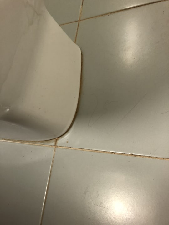 Zimmer Hipotels Mediterraneo Club