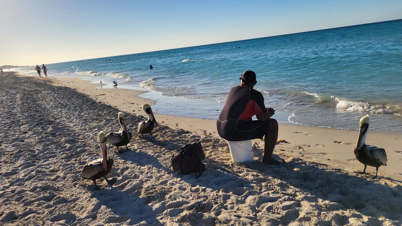 Strand Melia Las Antillas - Adults only