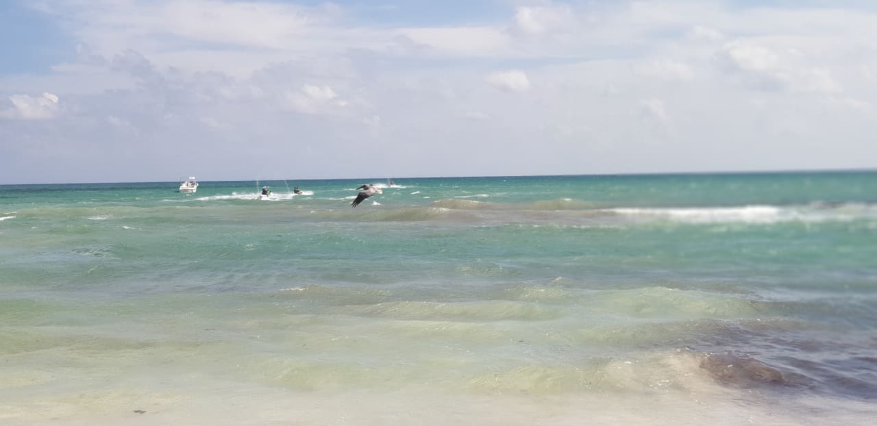 Strand Iberostar Waves Paraiso del Mar