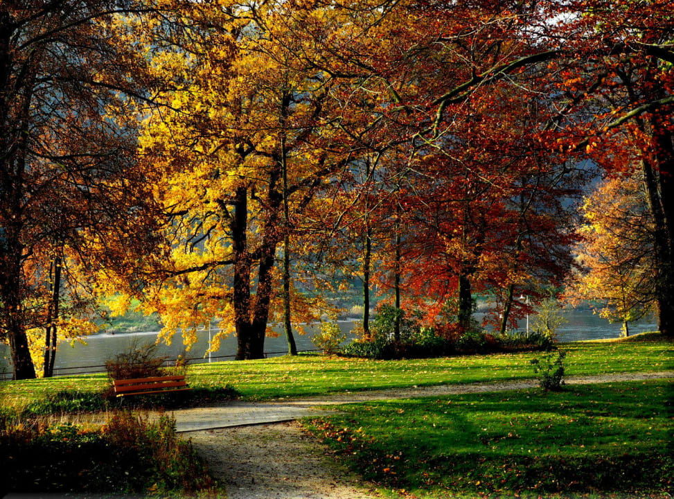 Blick vom Balkon Parkhotel Bad Schandau
